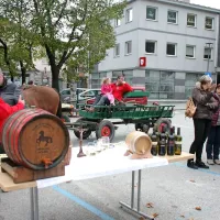 Furenga svetega Martina je pot zaključila v Vipavi
