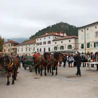 Furenga svetega Martina je pot zaključila v Vipavi