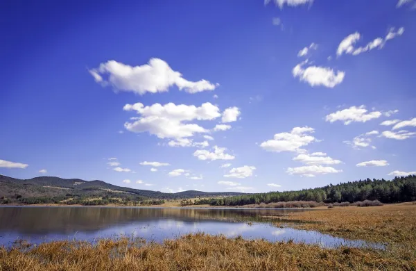 Palško jezero je le eno izmed vodnih pojavov, ki tvorijo enkratno 
hidrološko mrežo Klasičnega krasa.