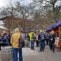 Ponudnika vina, domačih jedi in  izdelkov so bili po vsem 
Štanjelu. 
