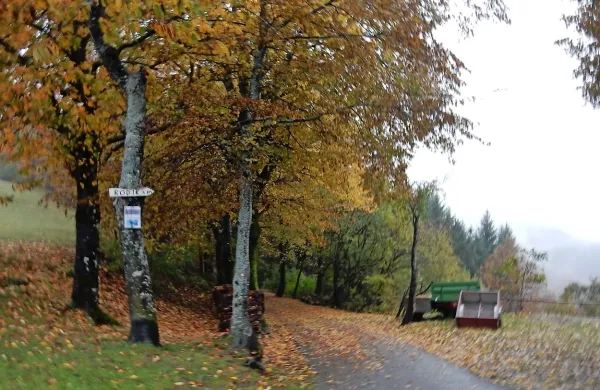 Vodovod bodo iz Ilirske Bistrice pripeljali do Rodika, prebivalci Artviž pa bodo lahko še naprej 
uporabljali lokalni vir. 