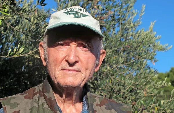 Angel Pucer, oljkar iz Ankarana