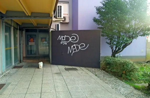 Ljubiteljem tovrstnih zapisov je najbolj padel v oči bel podpis na  
črni podlagi ...