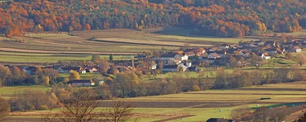 Žlahtne zgodbe z Goričkega