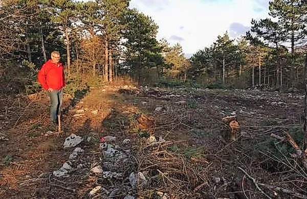 Amicus in Može pod lupo inšpekcije