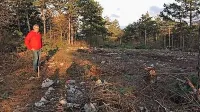 Amicus in Može pod lupo inšpekcije