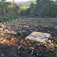 Na 47 hektarjev velikem zemljišču na Zajčici je podjetje Amicus, ki 
bo tam gradilo vetrnice, v sodelovanju z Antonom Možetom za 
postavitev merilnega stolpa  brez odločbe gozdarjev  posekalo 
približno deset kubičnih metrov borovih dreves.   