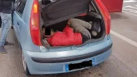 Dva sonarodnjaka je Iračan skril v prtljažnik (fotografija je 
simbolična).