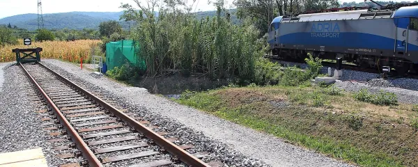Madžarski vihar v kozarcu morja