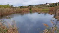 Ob  akumulacijskem jezeru  v strunjanski dolini zelo zaudarja po 
fekalijah, voda pa je skorajda črna.