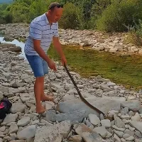 Ozdravljeni gož tik pred izpustitvijo v dolini Dragonje