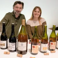 Naraščajoče zanimanje za slovenska vina