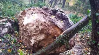 Skala, velika  približno kot dva pralna stroja, se je skotalila na 
makadamsko pot.