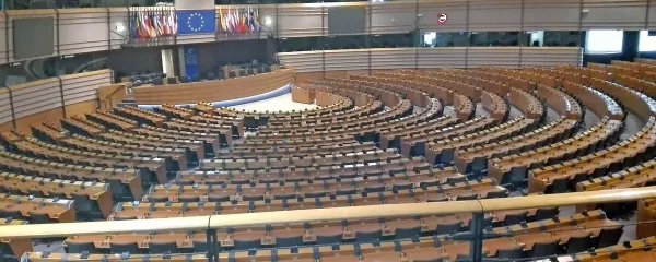 Bodoča sestava evropskega parlamenta, ki je edina neposredno 
izvoljena evropska ustanova, bo pomembno vplivala na prihodnost unije.