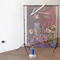  Del projekta Brez naslova (Tesla) prehaja v polje skulpture, saj 
podoba prikazuje avtoričin delovni studio.