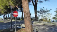 Od droga z ohišjem  za premični radar je tudi ob cesti proti 
Belvederju  ostal samo drog. 