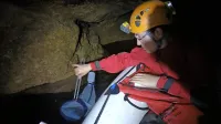 Lara Valentić, ki je na povabilo društva Drobnovratnik rezultate 
svoje prve analize predstavila tudi v postojnski knjižnici, pravi, da 
bo raziskavo še razširila. 