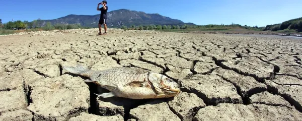 Takšno podobo je imel leta 2012 zadrževalnik Vogršček. 