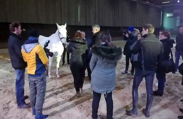 Včeraj je vodstvo Kobilarne Lipica novinarje uvedlo v svet 
lipicancev in napovedalo obnove Maestosa in druge investicije.