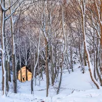 Otliško okno ob prvem lanskem snegu, sredi decembrskega 
dopoldneva