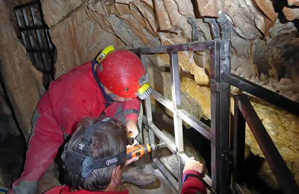 Lovci na jamske živali zdaj ne morejo več v Polino peč. Za jamarje 
in raziskovalce pa bo jama še naprej dostopna.