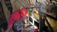 Lovci na jamske živali zdaj ne morejo več v Polino peč. Za jamarje 
in raziskovalce pa bo jama še naprej dostopna.