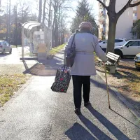 Tudi med prazniki pojdite vsak dan na sprehod. 