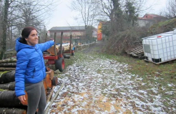 Nataša Kinkela Tavič iz Podgrada stoji ob skladovnici drv, za 
katero  so se skrili trije tuji moški, ki sta jih  izpred hiše (oranžno-rumena v ozadju) pregnala njen mož in psi.

 