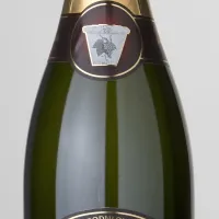 Vino: Br'stovska penina - malvazija (Rebula)