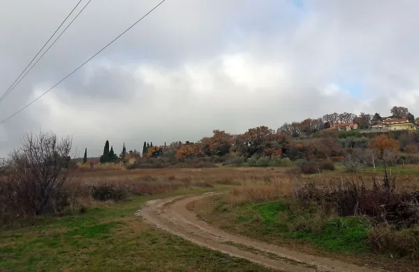 Eno od območij, kjer je načrtovanja strnjena gradnja, je tudi 
travnik na koncu Srebrničeve ulice. 