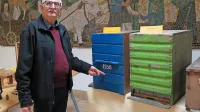 Poznavalec bistriškega čebelarstva Niko Dodič  ob pestri zbirki 
panjev v Muzeju čebelarstva v Ilirski Bistrici pove marsikaj 
zanimivega o tej stari dejavnosti.

 
