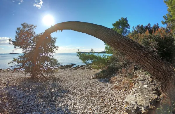 Zaščiteni rovinjski gozdni park Zlatni rt