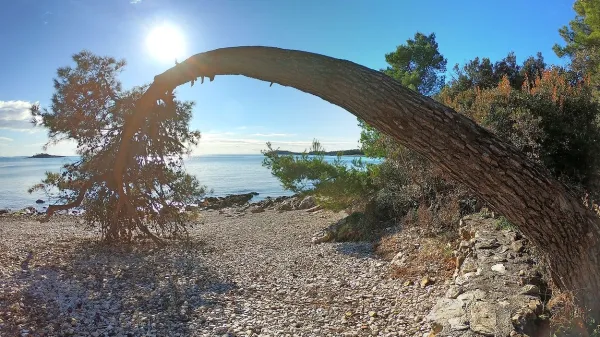 Zaščiteni rovinjski gozdni  park Zlatni rt