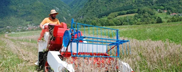 Mini kombajn je spodbuda in izziv za kmete, da bi, kot nekoč,  s 
kolobarjenjem  obdelovali  njive in s tem bogatili zemljo.     