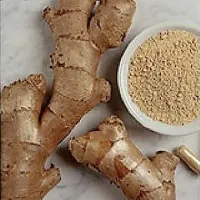 Ingver sodi skupaj s česnom v skupino živil, ki so naravni 
antibiotiki.  