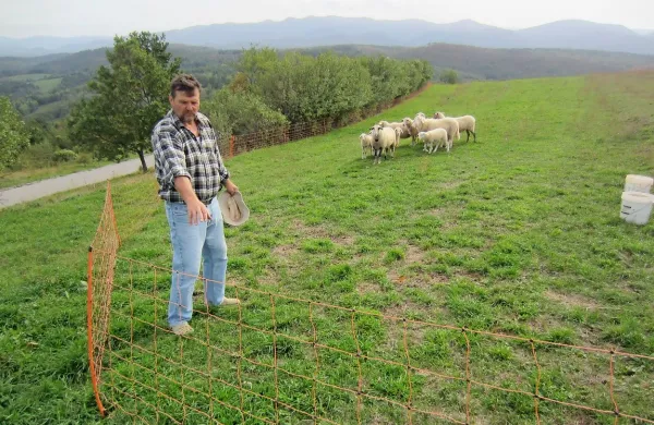 30 odstotkov  $@  manj drobnice je na Bistriškem in Pivškem, večinoma zaradi zveri.