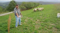 30 odstotkov  $@  manj drobnice je na Bistriškem in Pivškem, večinoma zaradi zveri.