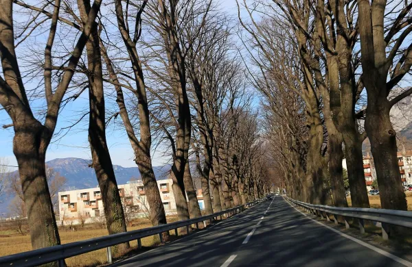 Projekt razlivnega polja na območju ob glavni cesti je za občino 
škodljiv, meni župan.