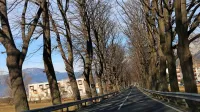 Projekt razlivnega polja na območju ob glavni cesti je za občino 
škodljiv, meni župan.