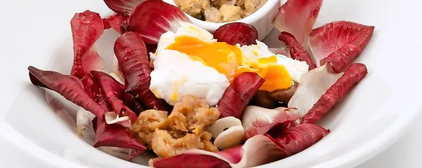 Goriški radič v solati