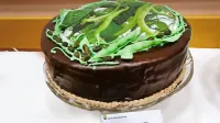 Fižolova torta