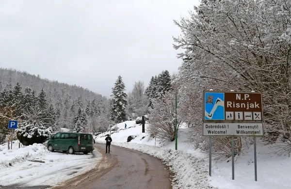 V Narodnem parku Risnjak so včeraj predstavili projekt Carnivora 
Dinarica, ki povezuje hrvaške in slovenske partnerje.