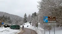 V Narodnem parku Risnjak so včeraj predstavili projekt Carnivora 
Dinarica, ki povezuje hrvaške in slovenske partnerje.