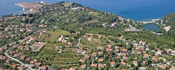 Najbolj je na udaru Istra z zalednim gričevjem, kjer je tudi največ pobud za spremembo namembnosti zemljišč. 