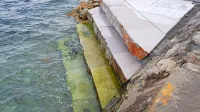 Spodnji del stopnic iz kraškega apnenca so pričakovano prerasle 
alge, zato se domačini bojijo, da bo dostop v morje nevarno 
drseč. 
