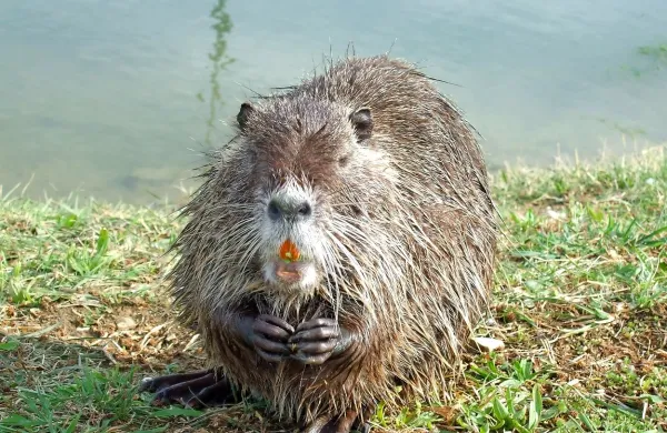 Fotografija je simbolična.