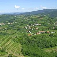 Podjetje Rune v Brdih napoveduje širokopasovno omrežje s 3000 
priključki.
