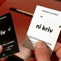 Gledalec predstave mora razsoditi, ali je pilot kriv ali nedolžen.