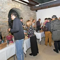 Novi obrazi refoška