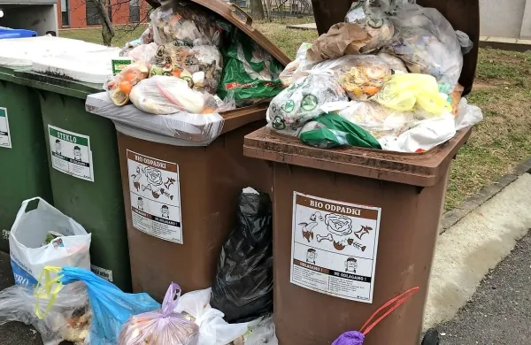 Med prazničnim vikendom je v zabojnikih bioloških odpadkov 
zmanjkalo prostora.
